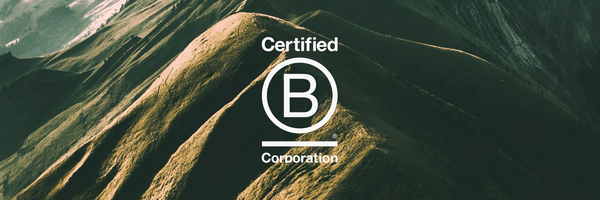 Step-by-Step Guide to Becoming a B Corporation - Rise of Rosa
